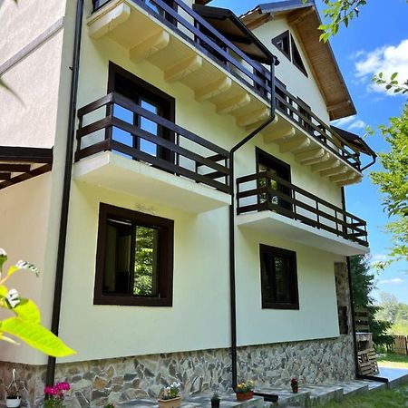 Cabana Din Padure Hotel Porumbacu de Sus Bagian luar foto