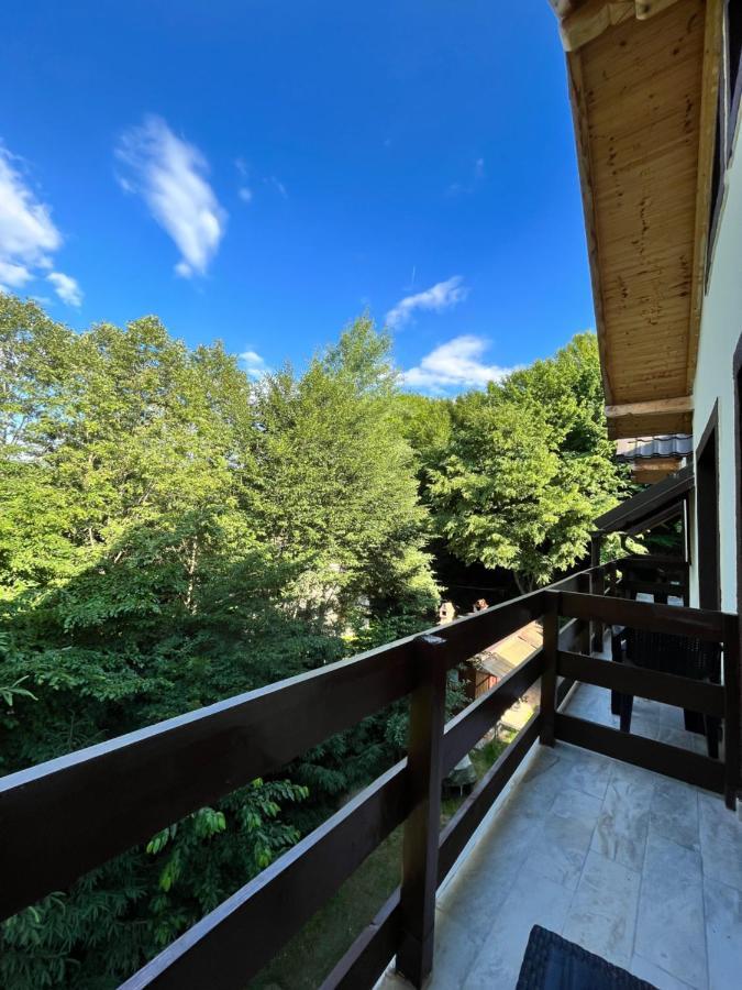Cabana Din Padure Hotel Porumbacu de Sus Bagian luar foto