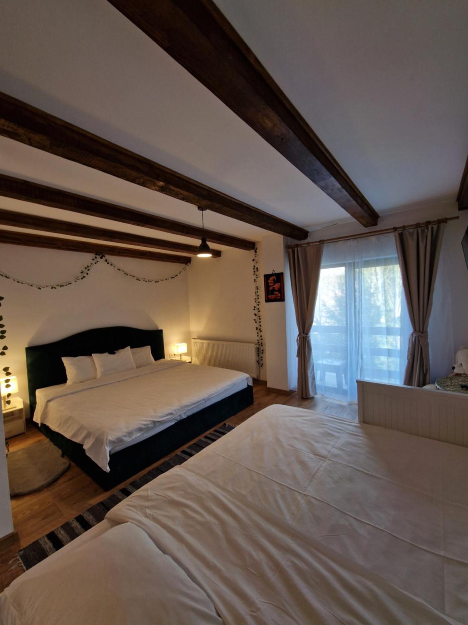 Cabana Din Padure Hotel Porumbacu de Sus Bagian luar foto